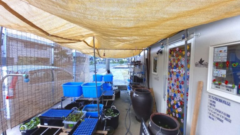 メダカと雨水と暑さ対策 メダカの飼育場の遮光屋根をdiy 自作 してみました その２ めだかと離島移住の情報局