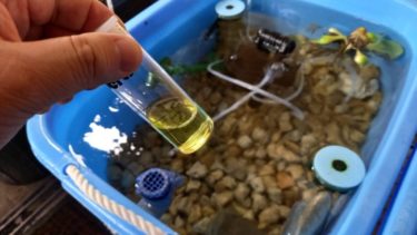 効果絶大 メダカや金魚の飼育に役立つ 濾過バクテリア の増殖にバクテリア培養水槽のdiy方法 めだかと離島移住の情報局