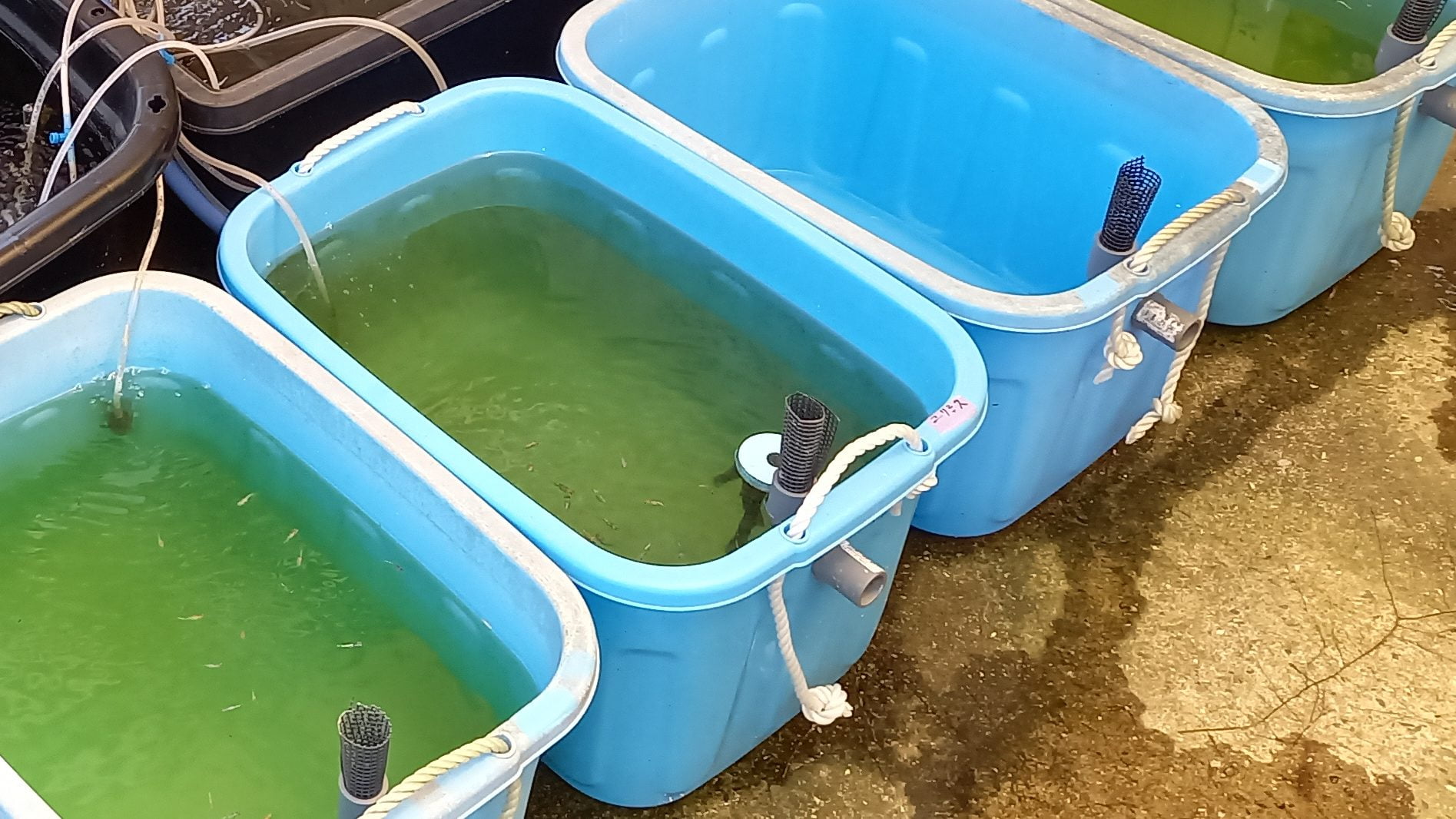 排水加工の様子