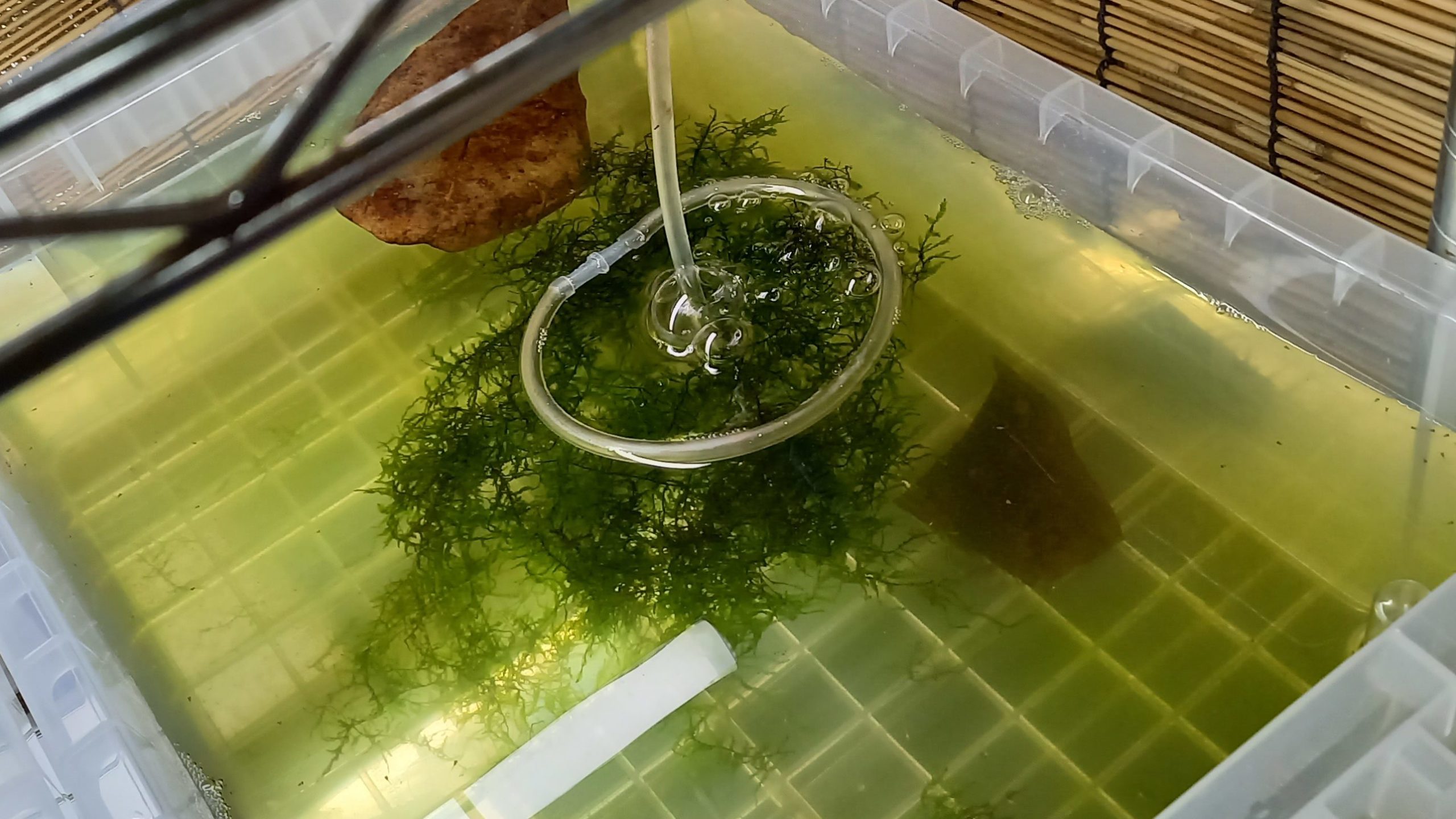 エアレーションの水流を抑える対策