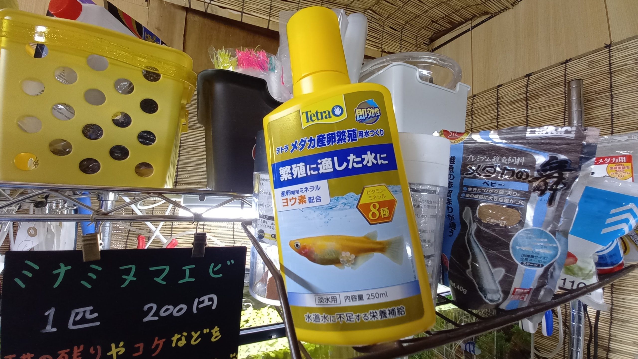 テトラ　メダカ産卵繁殖水作りの画像